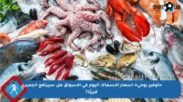 «توفير يومي» أسعار الاسماك اليوم في الأسواق هل سيرتفع الجمبري قريبًا؟